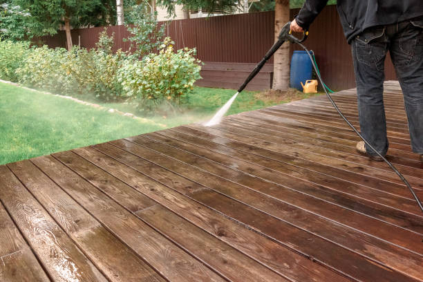 Best Solar Panel Cleaning  in Red Chute, LA