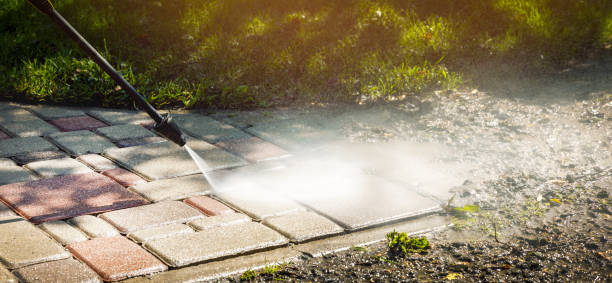 Animal Enclosure Cleaning in Red Chute, LA