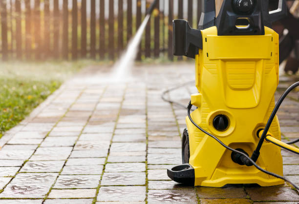 Best Roof Washing  in Red Chute, LA